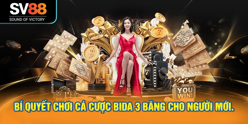 Bí quyết chơi cá cược bida 3 băng cho người mới.