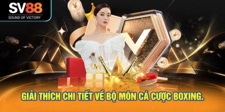 Giải thích chi tiết về bộ môn cá cược boxing.