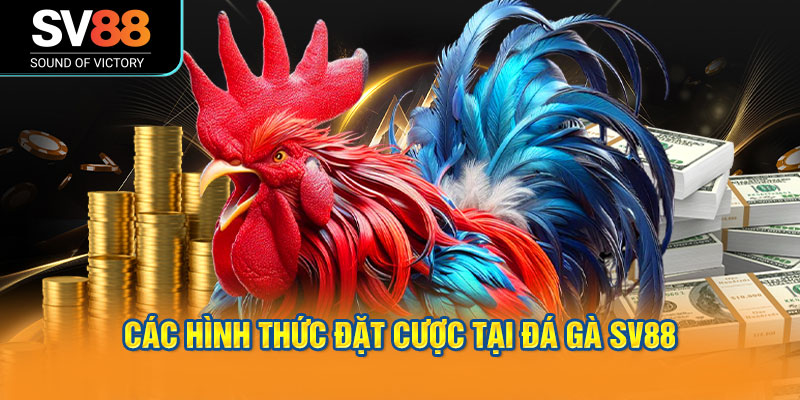 Các hình thức đặt cược tại đá gà SV88