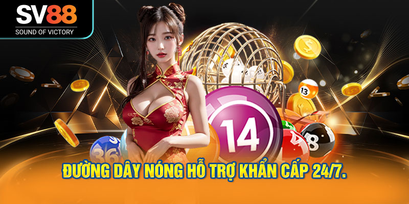 Đường dây nóng hỗ trợ khẩn cấp 24/7.